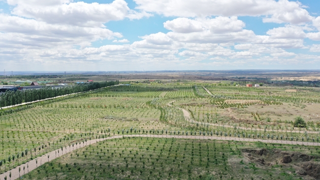 標(biāo)題：托縣綠博園
瀏覽次數(shù)：2588
發(fā)表時(shí)間：2019-10-31