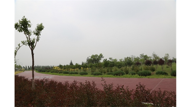 標(biāo)題：大青山南坡生態(tài)修復(fù)
瀏覽次數(shù)：2721
發(fā)表時(shí)間：2020-10-16