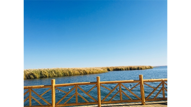 標(biāo)題：額濟(jì)納胡楊林景區(qū)
瀏覽次數(shù)：2054
發(fā)表時間：2020-10-16