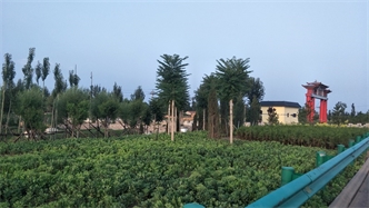 標(biāo)題：張家口經(jīng)開區(qū)腰站堡飲用水源地生態(tài)涵養(yǎng)綠化
瀏覽次數(shù)：3253
發(fā)表時(shí)間：2020-10-16