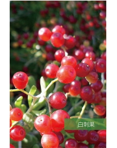 標(biāo)題：名貴樹(shù)種
瀏覽次數(shù)：1895
發(fā)表時(shí)間：2020-10-17