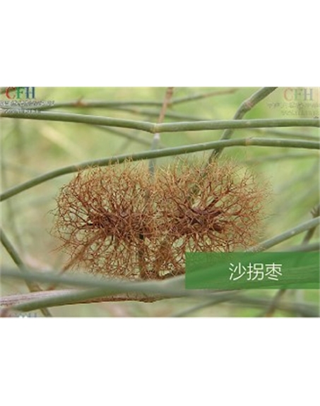 標(biāo)題：名貴樹種
瀏覽次數(shù)：1886
發(fā)表時間：2020-10-17