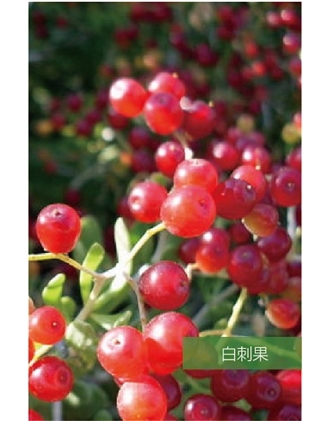 標(biāo)題：名貴樹(shù)種
瀏覽次數(shù)：1894
發(fā)表時(shí)間：2020-10-17