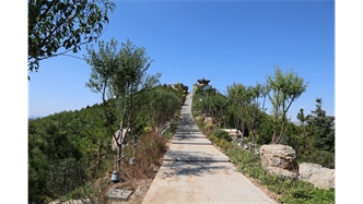 標(biāo)題：張家口太子山山體修復(fù)
瀏覽次數(shù)：19631
發(fā)表時(shí)間：2020-11-12